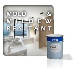 mold and mildew resistant paints